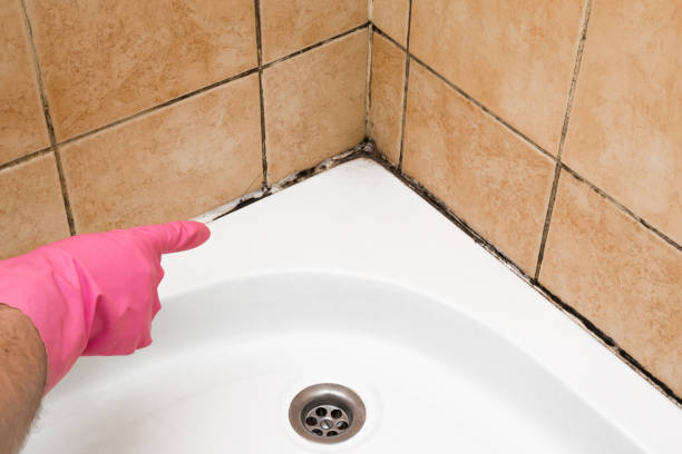 St Paul, VA Mold Remediation Company